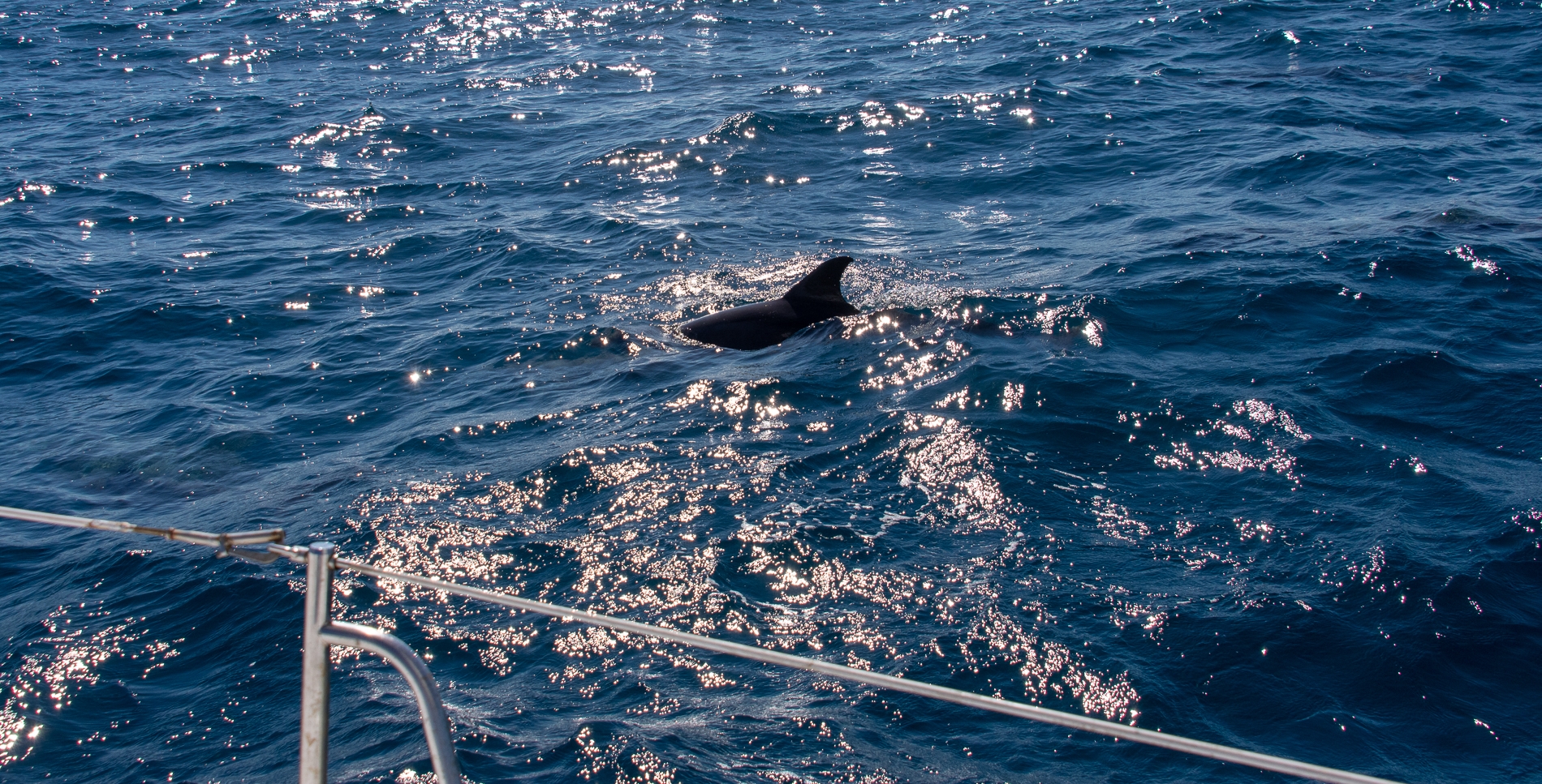 JacksonvilleToFloridaKeys43 The Sailing Vessel Pomaika'i